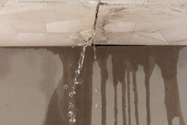 Professional Burst Pipe Cleanup technician working in Abingdon, VA